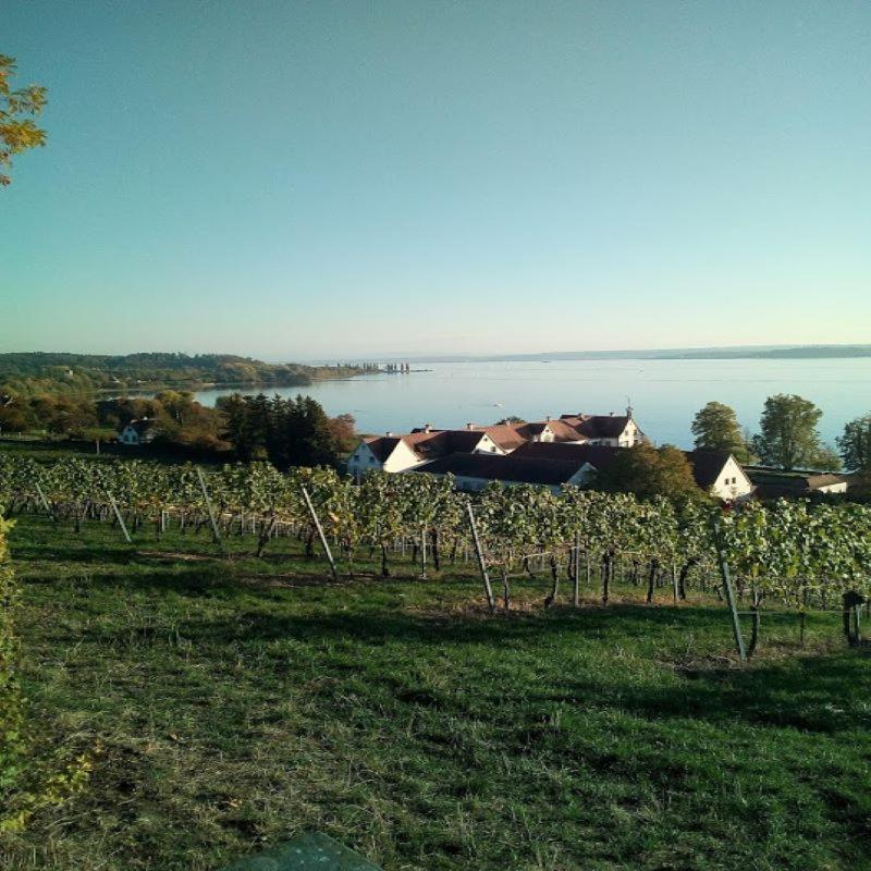 Ferienwohnung Am Bodensee Uhldingen-Mühlhofen Exteriér fotografie